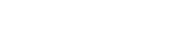 Trishakti Securities Limited